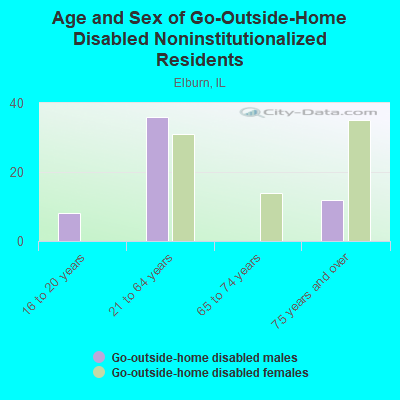 Age and Sex of Go-Outside-Home Disabled Noninstitutionalized Residents