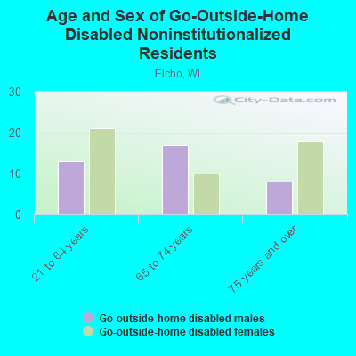 Age and Sex of Go-Outside-Home Disabled Noninstitutionalized Residents