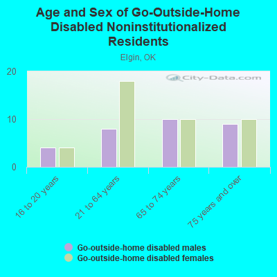 Age and Sex of Go-Outside-Home Disabled Noninstitutionalized Residents