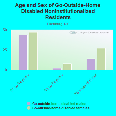 Age and Sex of Go-Outside-Home Disabled Noninstitutionalized Residents