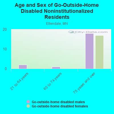 Age and Sex of Go-Outside-Home Disabled Noninstitutionalized Residents