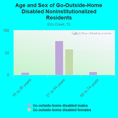 Age and Sex of Go-Outside-Home Disabled Noninstitutionalized Residents