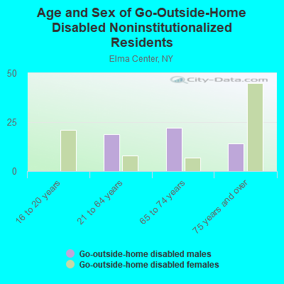 Age and Sex of Go-Outside-Home Disabled Noninstitutionalized Residents