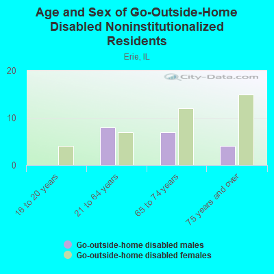 Age and Sex of Go-Outside-Home Disabled Noninstitutionalized Residents