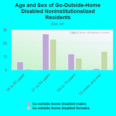 Age and Sex of Go-Outside-Home Disabled Noninstitutionalized Residents