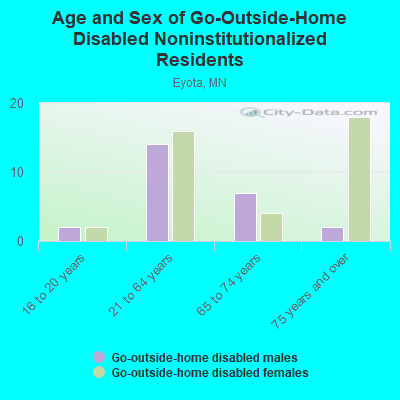 Age and Sex of Go-Outside-Home Disabled Noninstitutionalized Residents