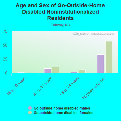 Age and Sex of Go-Outside-Home Disabled Noninstitutionalized Residents