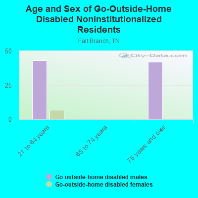 Age and Sex of Go-Outside-Home Disabled Noninstitutionalized Residents