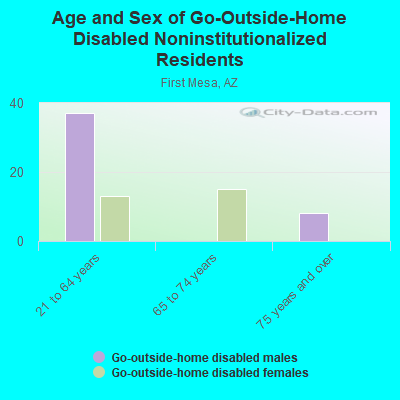 Age and Sex of Go-Outside-Home Disabled Noninstitutionalized Residents