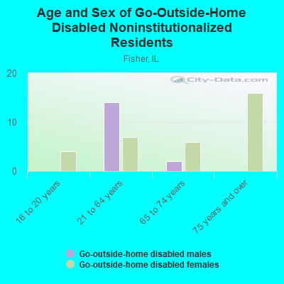 Age and Sex of Go-Outside-Home Disabled Noninstitutionalized Residents