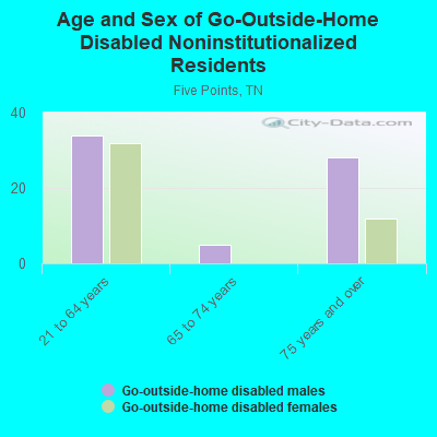 Age and Sex of Go-Outside-Home Disabled Noninstitutionalized Residents