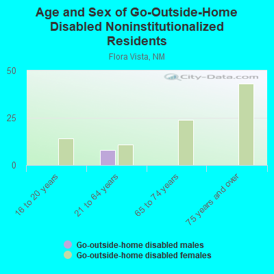 Age and Sex of Go-Outside-Home Disabled Noninstitutionalized Residents