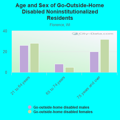 Age and Sex of Go-Outside-Home Disabled Noninstitutionalized Residents