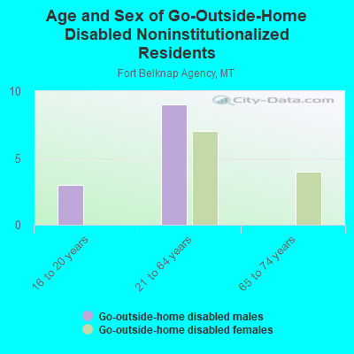 Age and Sex of Go-Outside-Home Disabled Noninstitutionalized Residents