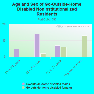 Age and Sex of Go-Outside-Home Disabled Noninstitutionalized Residents