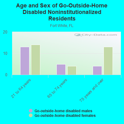 Age and Sex of Go-Outside-Home Disabled Noninstitutionalized Residents