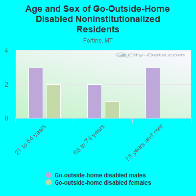 Age and Sex of Go-Outside-Home Disabled Noninstitutionalized Residents