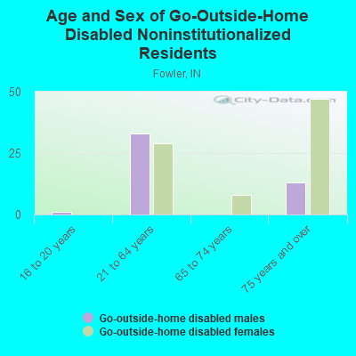 Age and Sex of Go-Outside-Home Disabled Noninstitutionalized Residents