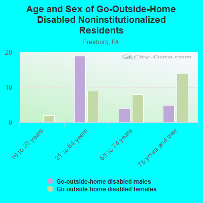 Age and Sex of Go-Outside-Home Disabled Noninstitutionalized Residents