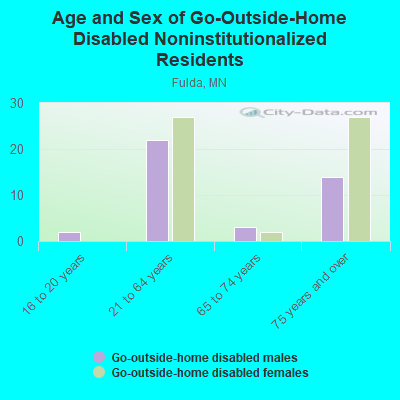 Age and Sex of Go-Outside-Home Disabled Noninstitutionalized Residents