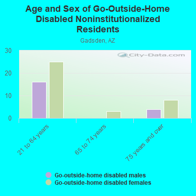 Age and Sex of Go-Outside-Home Disabled Noninstitutionalized Residents