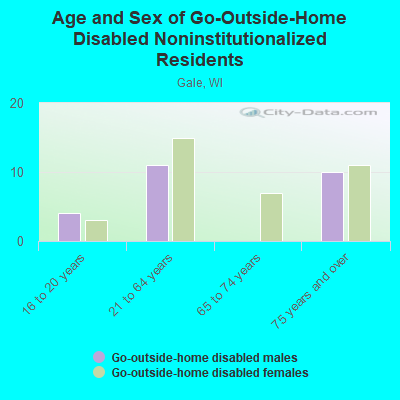 Age and Sex of Go-Outside-Home Disabled Noninstitutionalized Residents