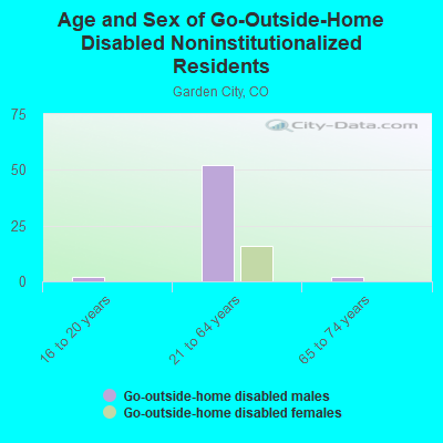 Age and Sex of Go-Outside-Home Disabled Noninstitutionalized Residents