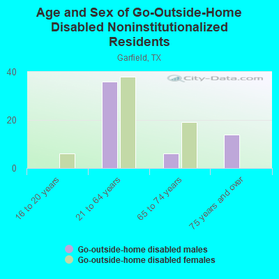 Age and Sex of Go-Outside-Home Disabled Noninstitutionalized Residents