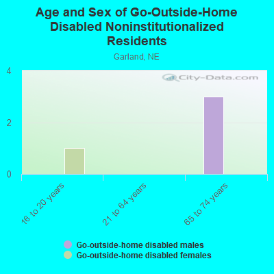 Age and Sex of Go-Outside-Home Disabled Noninstitutionalized Residents