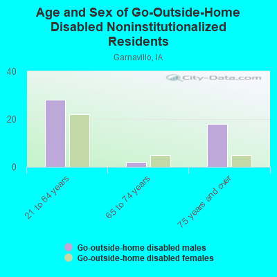 Age and Sex of Go-Outside-Home Disabled Noninstitutionalized Residents