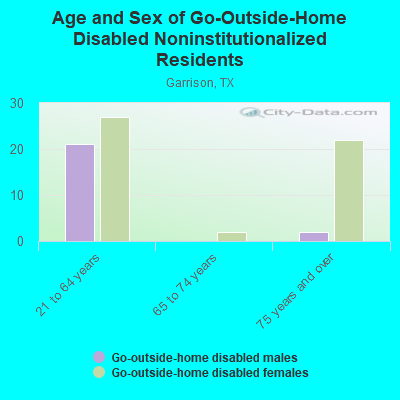 Age and Sex of Go-Outside-Home Disabled Noninstitutionalized Residents