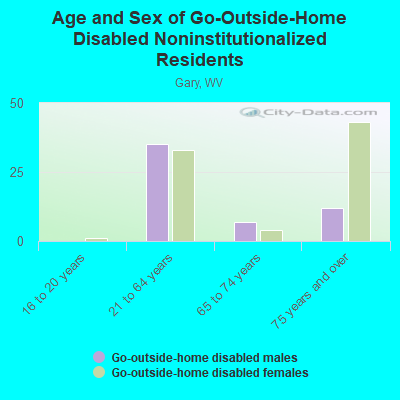 Age and Sex of Go-Outside-Home Disabled Noninstitutionalized Residents