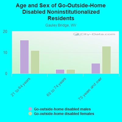 Age and Sex of Go-Outside-Home Disabled Noninstitutionalized Residents