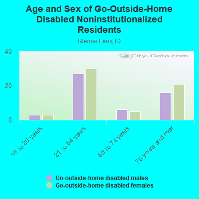 Age and Sex of Go-Outside-Home Disabled Noninstitutionalized Residents