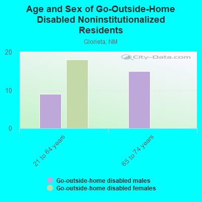 Age and Sex of Go-Outside-Home Disabled Noninstitutionalized Residents