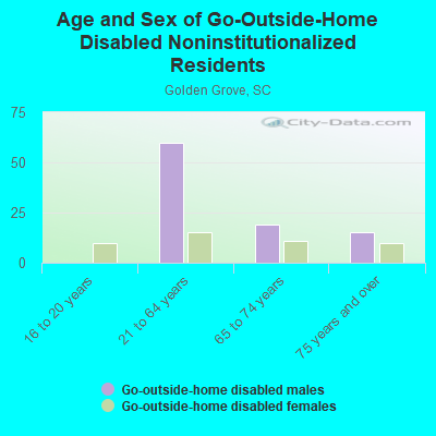 Age and Sex of Go-Outside-Home Disabled Noninstitutionalized Residents