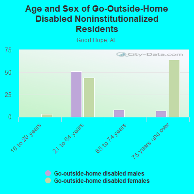 Age and Sex of Go-Outside-Home Disabled Noninstitutionalized Residents