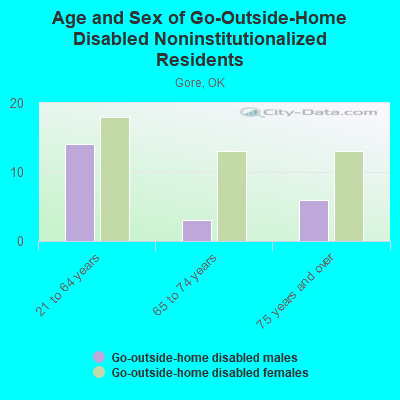 Age and Sex of Go-Outside-Home Disabled Noninstitutionalized Residents