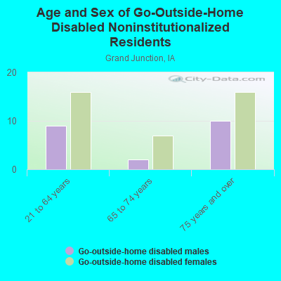 Age and Sex of Go-Outside-Home Disabled Noninstitutionalized Residents