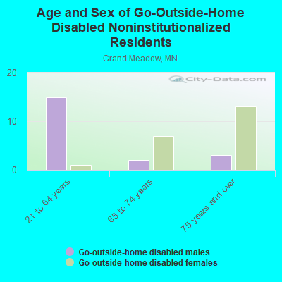 Age and Sex of Go-Outside-Home Disabled Noninstitutionalized Residents