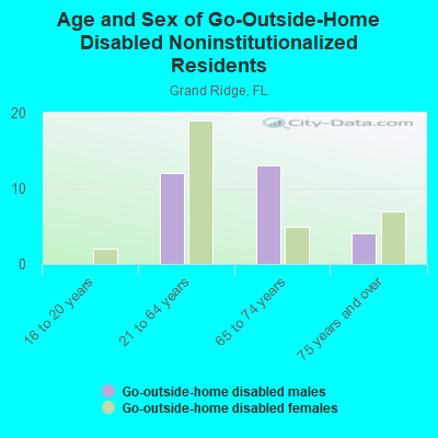 Age and Sex of Go-Outside-Home Disabled Noninstitutionalized Residents