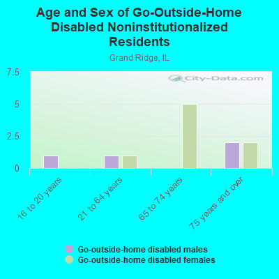 Age and Sex of Go-Outside-Home Disabled Noninstitutionalized Residents