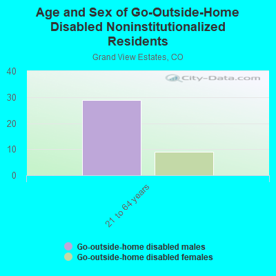 Age and Sex of Go-Outside-Home Disabled Noninstitutionalized Residents