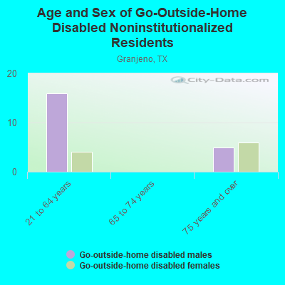 Age and Sex of Go-Outside-Home Disabled Noninstitutionalized Residents