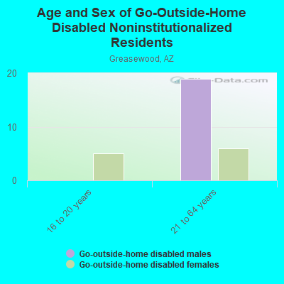 Age and Sex of Go-Outside-Home Disabled Noninstitutionalized Residents