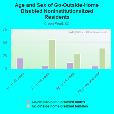 Age and Sex of Go-Outside-Home Disabled Noninstitutionalized Residents