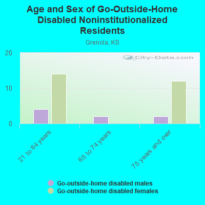 Age and Sex of Go-Outside-Home Disabled Noninstitutionalized Residents