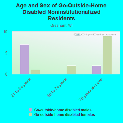 Age and Sex of Go-Outside-Home Disabled Noninstitutionalized Residents