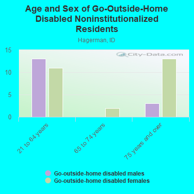 Age and Sex of Go-Outside-Home Disabled Noninstitutionalized Residents