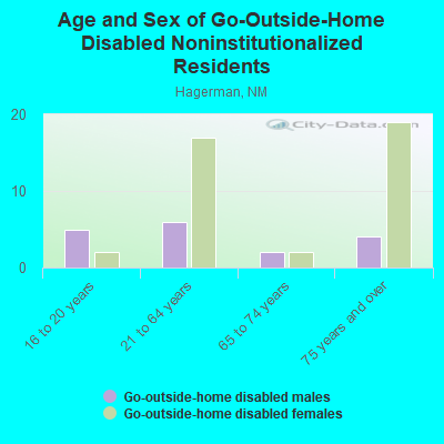 Age and Sex of Go-Outside-Home Disabled Noninstitutionalized Residents